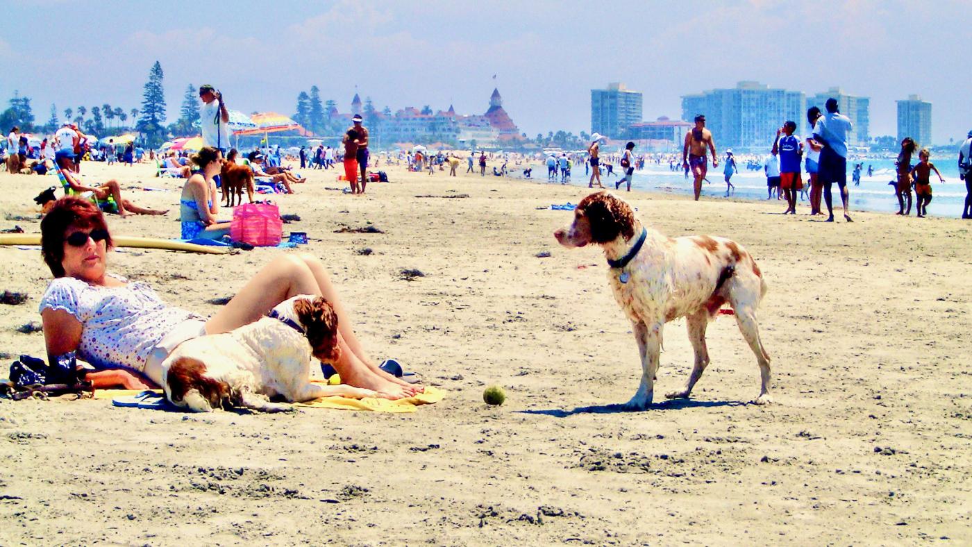 At the beach