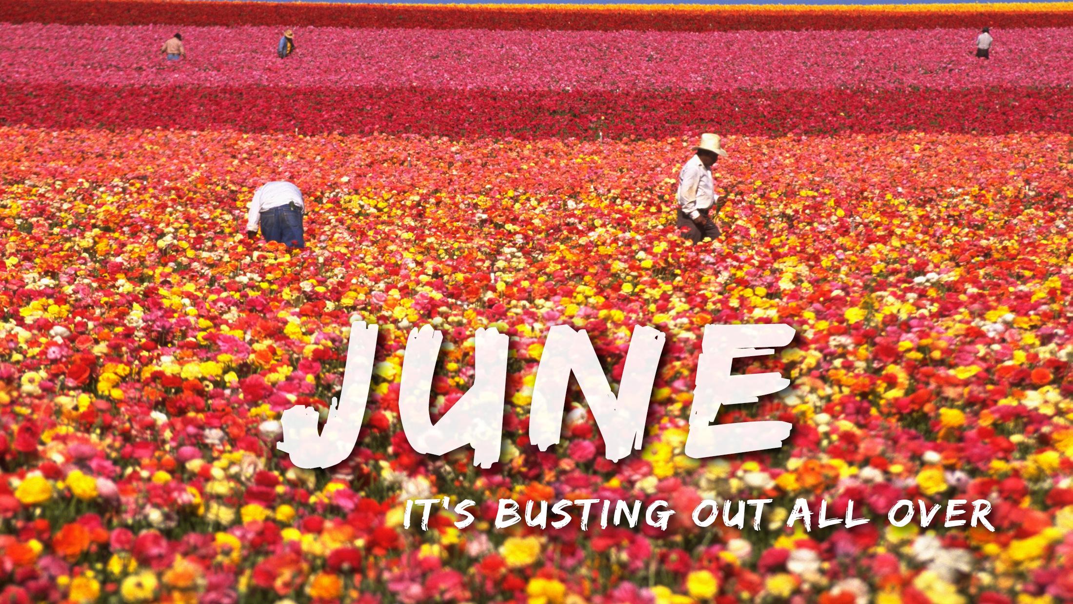 June is busting out all over