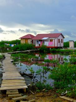 Swamp House - Original art by David Crellen