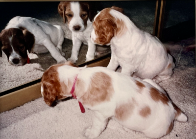 Baby Touché & Mona